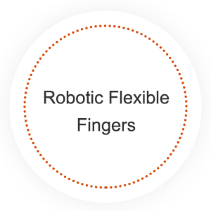 Robotic Flexible Fingers