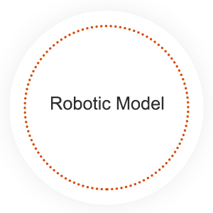 Robotic Model