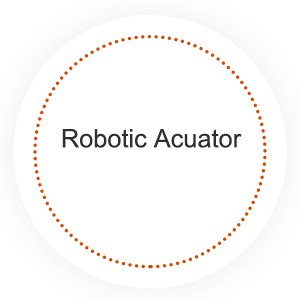 Robotic Acuator