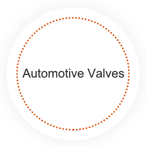 Automotive Valves