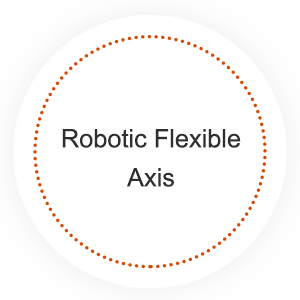 Robotic Flexible Axis